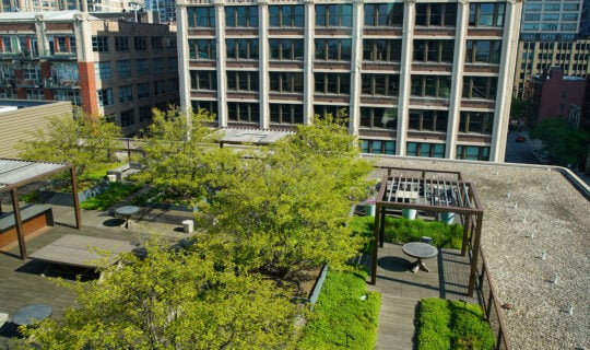 rooftop garden with trees, bushes, tables and benches